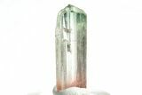 Bi-Colored Elbaite Tourmaline Crystal - Rubaya, DR Congo #206894-1